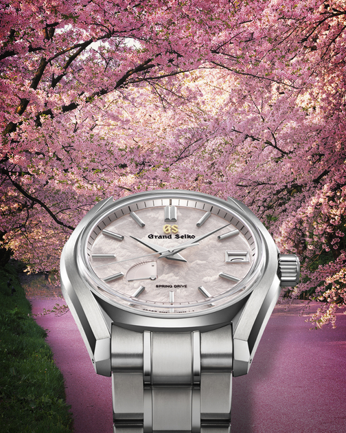 Grand seiko sales spring drive prezzo