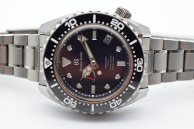 grand seiko diver's 600
